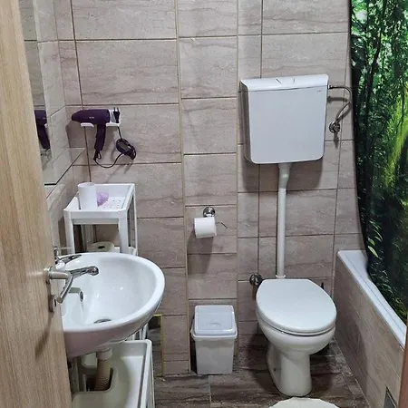 Dream Apartment Pirot